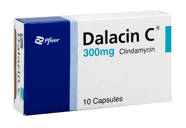 dalacin c 300 mg 10 cap | دالاسين سى 300 مجم