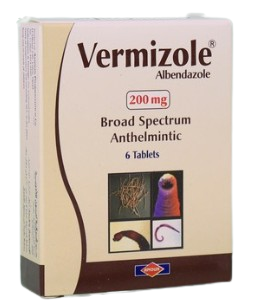 vermizole 200 mg 6 tablets | فيرميزول 200 مجم 6 قرص